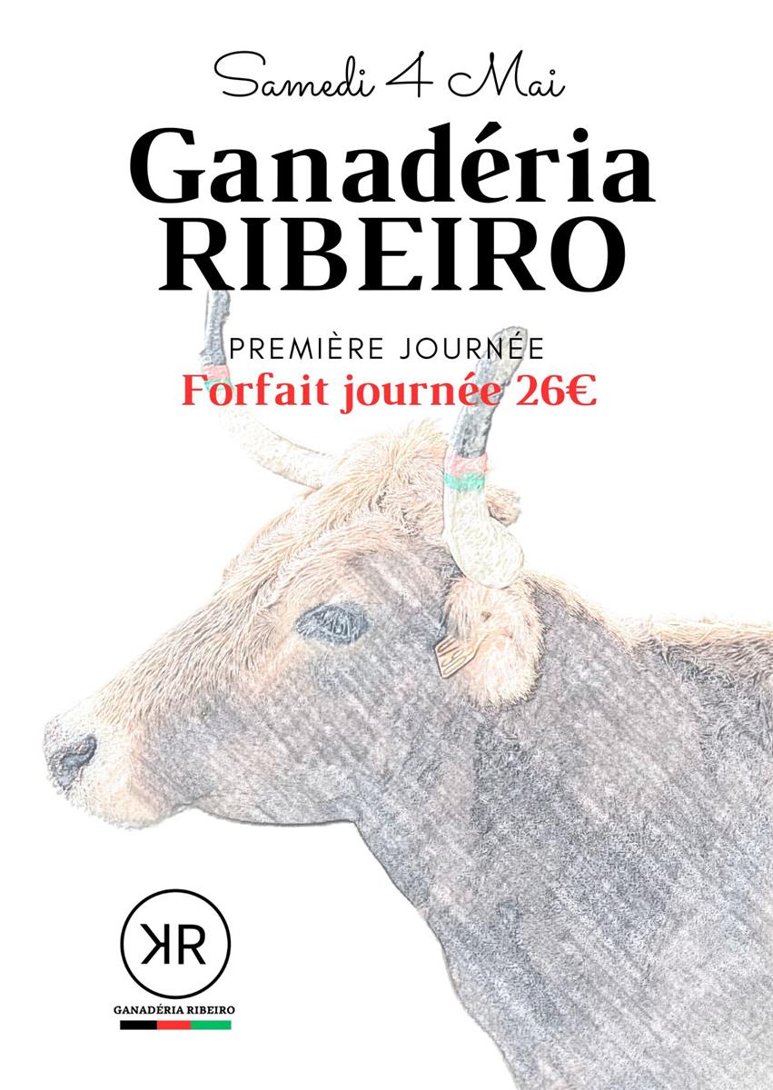 Journée avec la Ganadéria Ribeiro