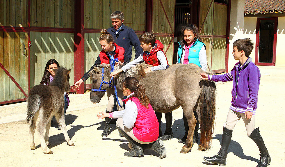 Prade Equestrian Center