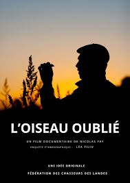 Cinéma : L'oiseau oublié