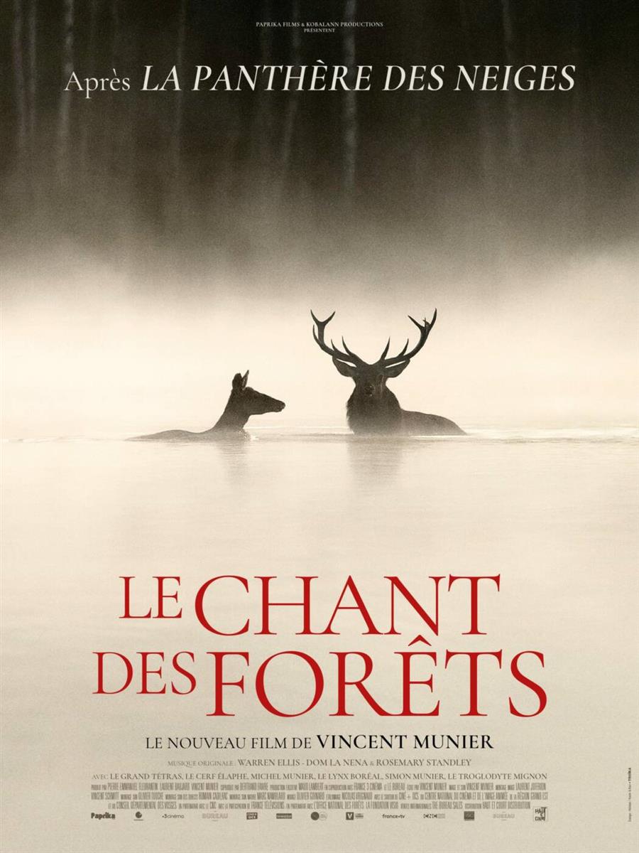 Cinéma : Le chant des forêts