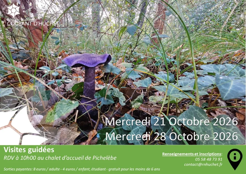 Partez à la découvert ... - Crédit: reserve huchet | CC BY-NC-ND 4.0