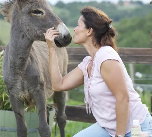 Visite sur rdv de l'asinerie Turs'Ane