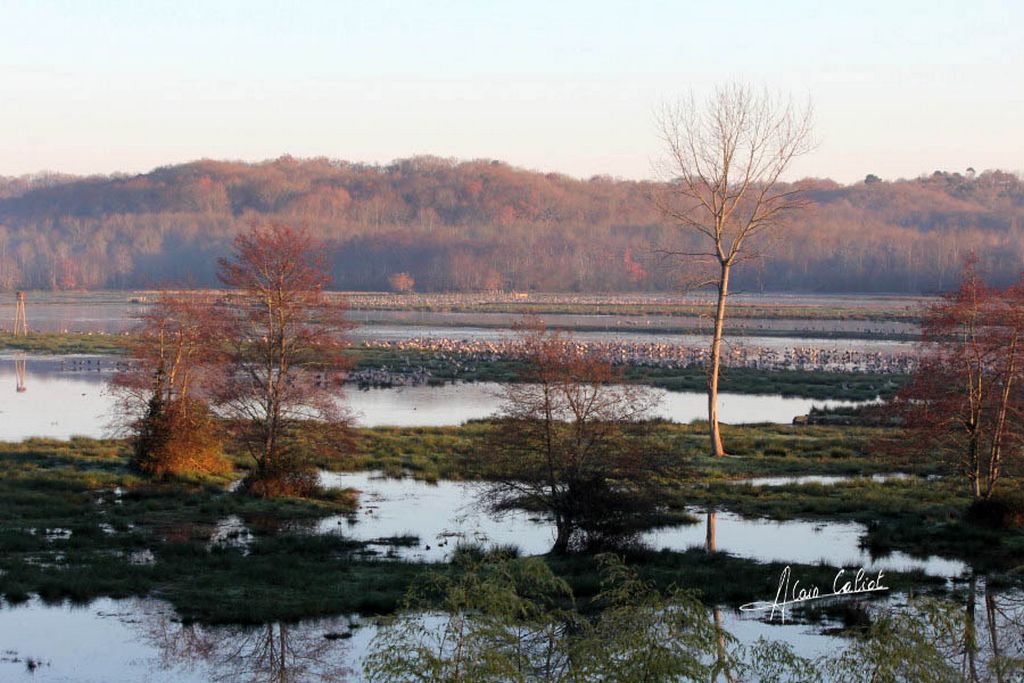Découverte de la Réserve de Lesgau