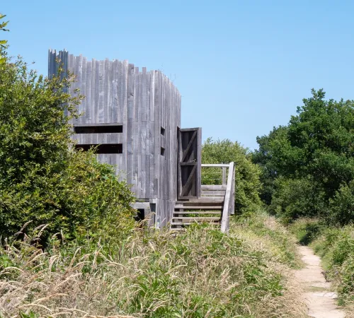 Initiation à l'ornithologie