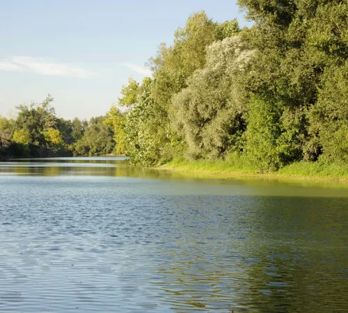 Découverte des secrets de l'Adour "Sur les chemins secrets de la biodiversité"