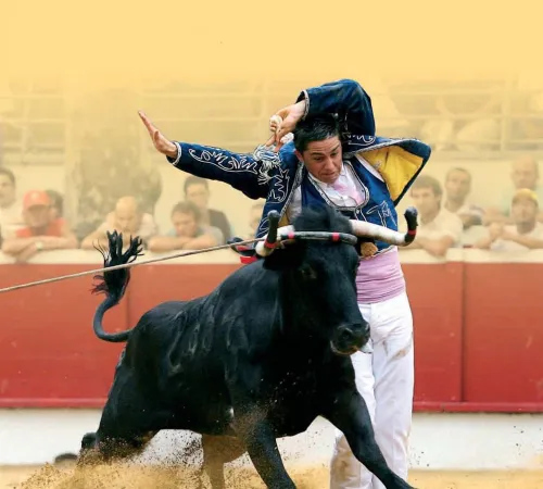 Course landaise