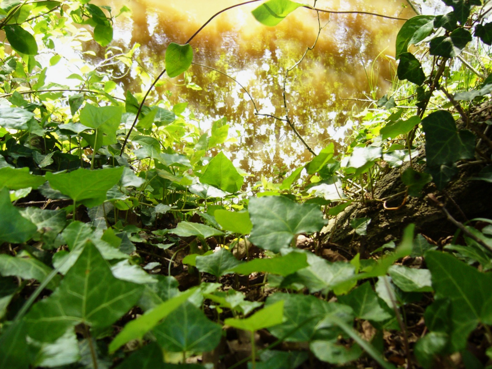 Exposition PARCC : "Miradas al suelo", salle d ...