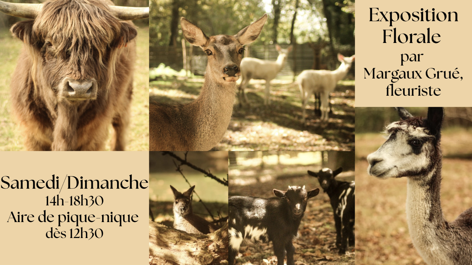 Exposition florale au Moulin de Poyaller