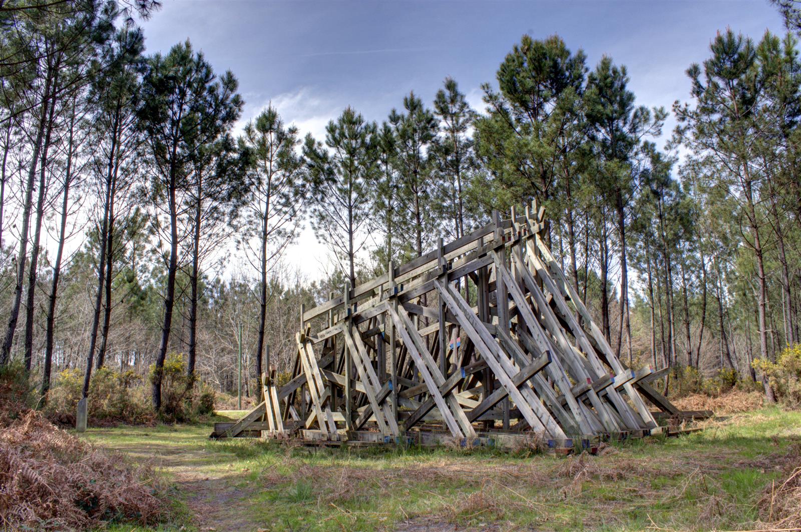 Balade Art & Nature avec Lucie Bayens