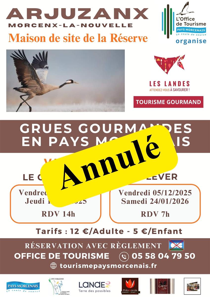 Annulé - Les grues gourmandes en Pays Morcenai ...