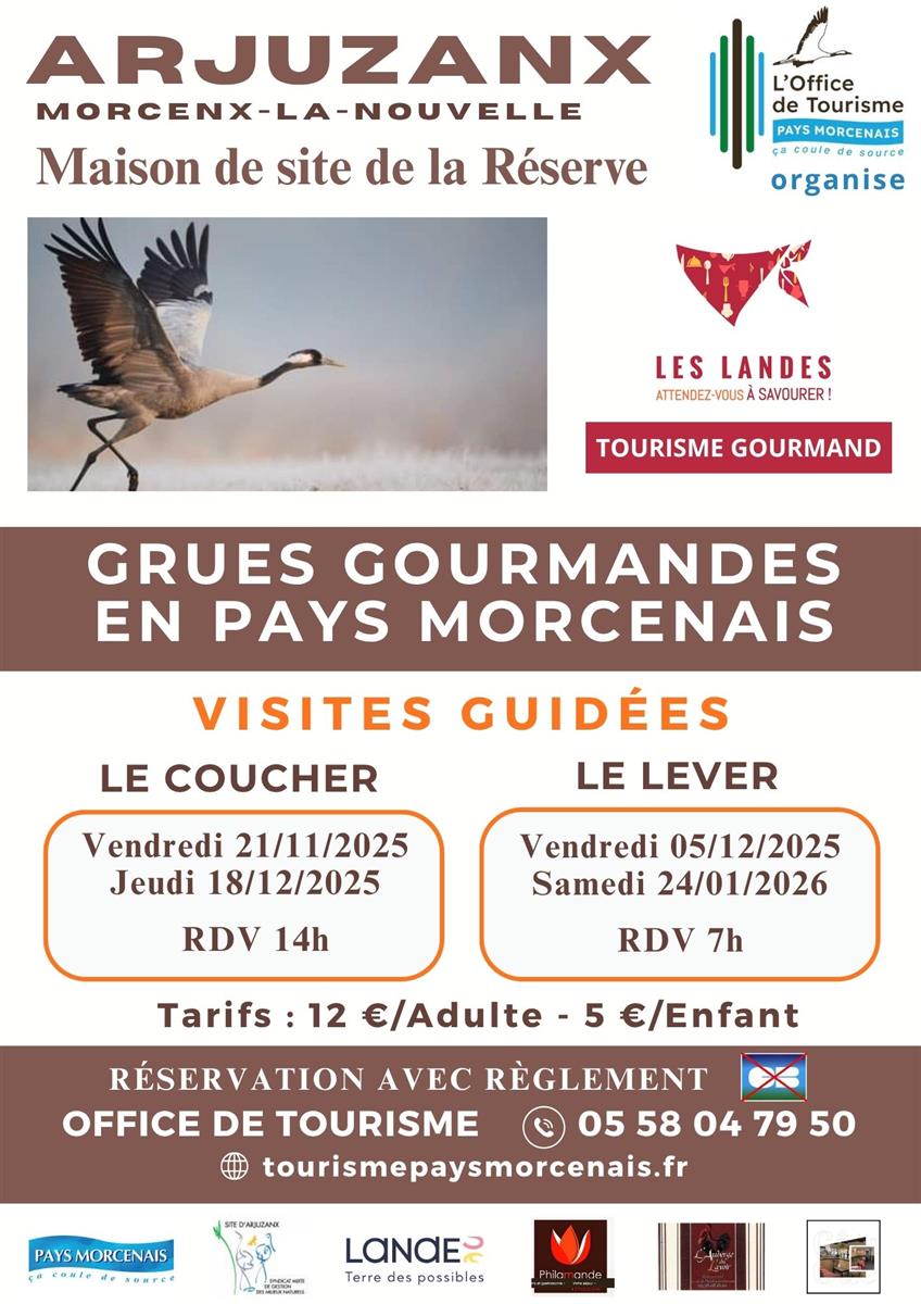 Annulé - Les grues gourmandes en Pays Morcenai ...