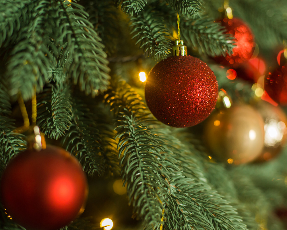 Concert : Mandine chante Noël