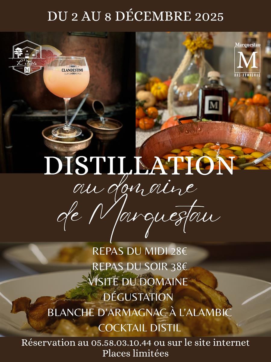 Distillation au Domaine de Marquestau