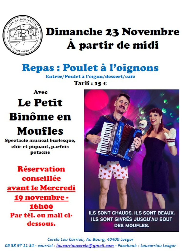 Repas poulet à l'oignons