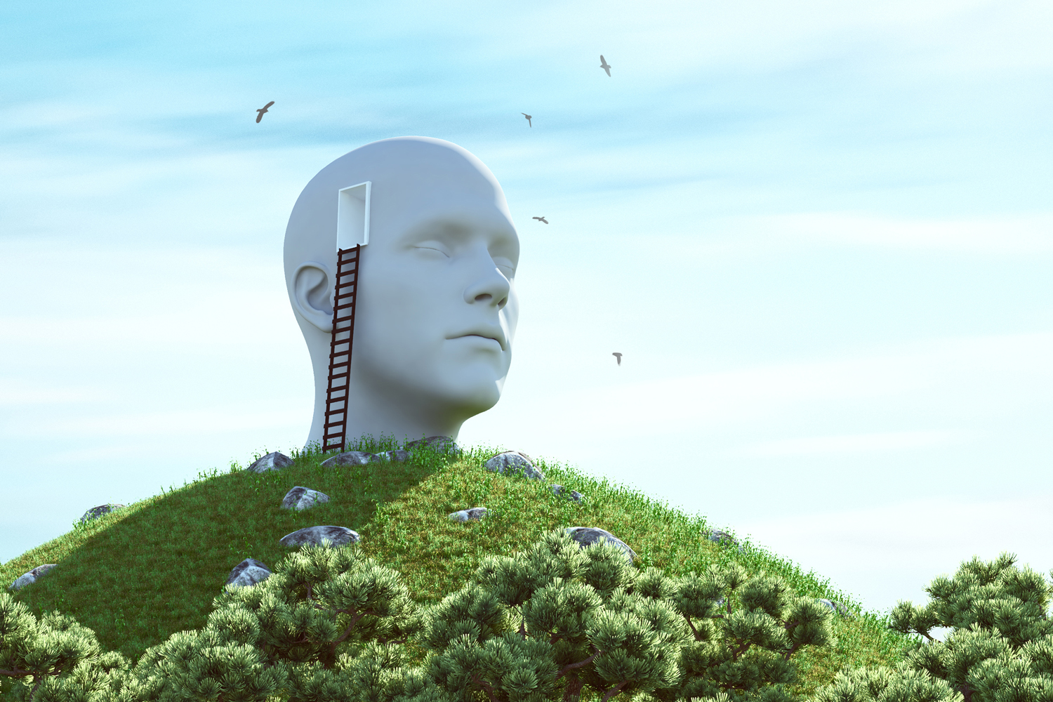 Les papotages de l’Office