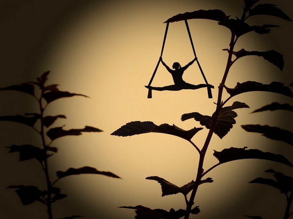 Théâtre d'ombres "Le Rouge-gorge"