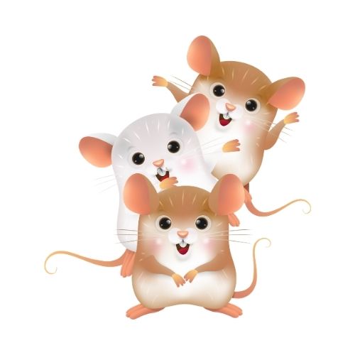 Nuit de la lecture "viles et campagnes" Soirée ...