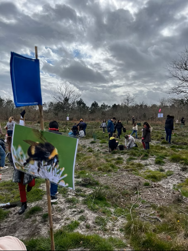Explorez le changement climatique dans les forêts