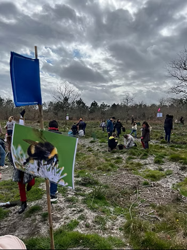 Partez à l’aventure dans la forêt ! Jeu de pis ...