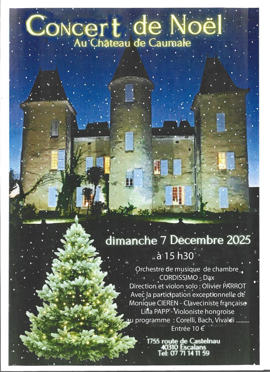 Concert de Noël au Château de Caumale