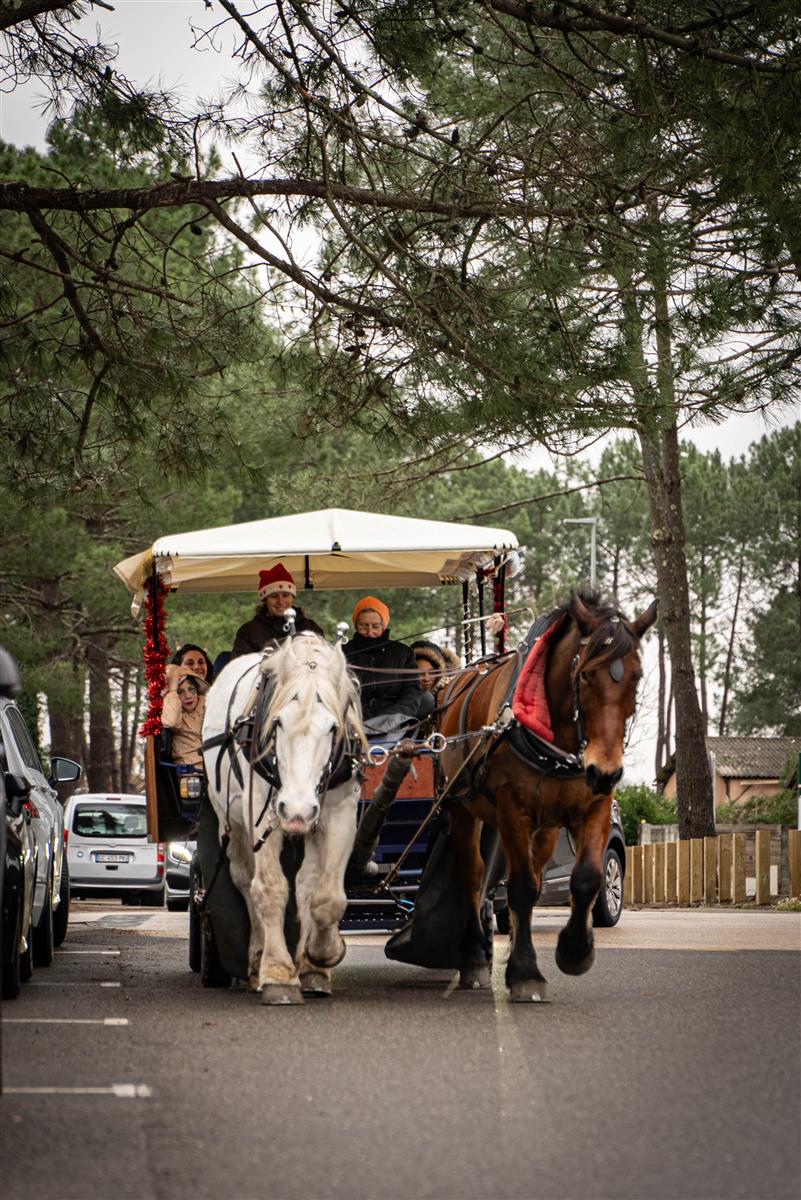 La calèche de Noël ● Noël 2025