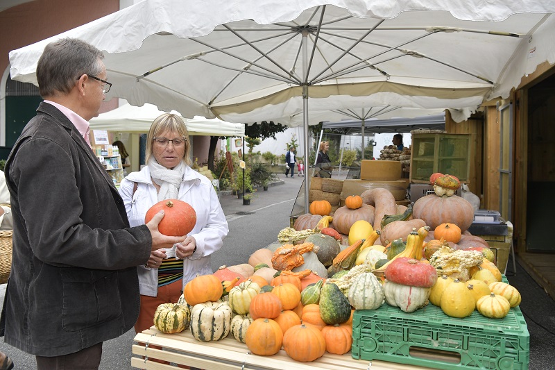 Marché traditionnel - Crédit: Gilles Arroyo | CC BY-NC-ND 4.0