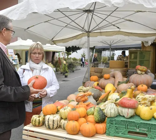 Marché traditionnel