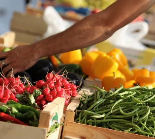 Marché traditionnel