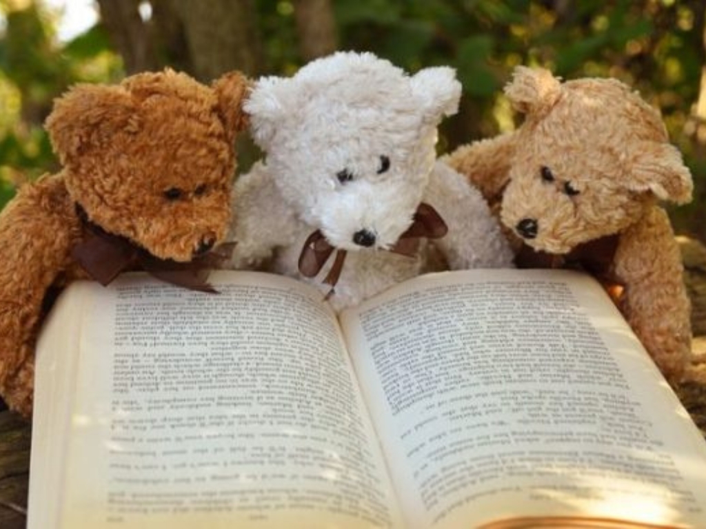 Doudous lecteurs "doudous des villes/doudous d ...