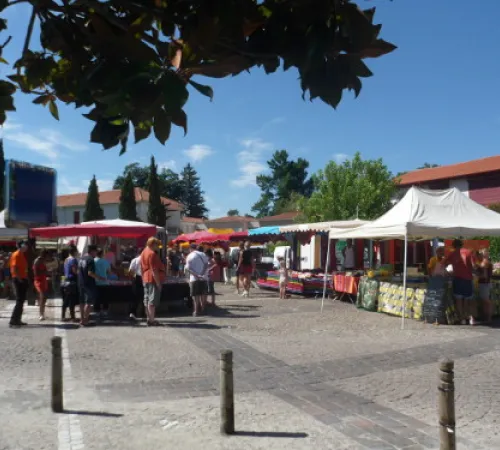 Marché traditionnel