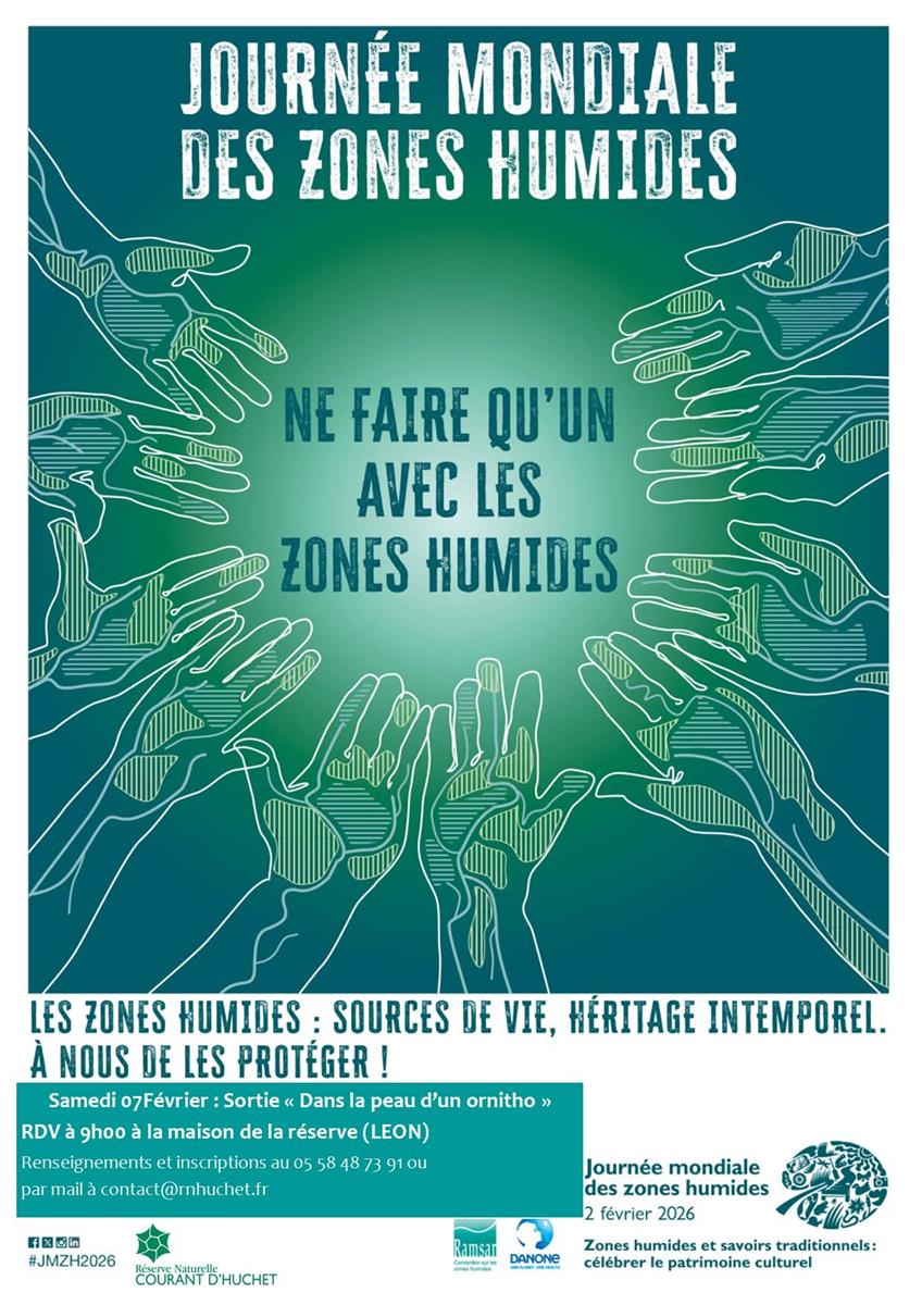 Sortie "Dans la peau d'un ornitho"