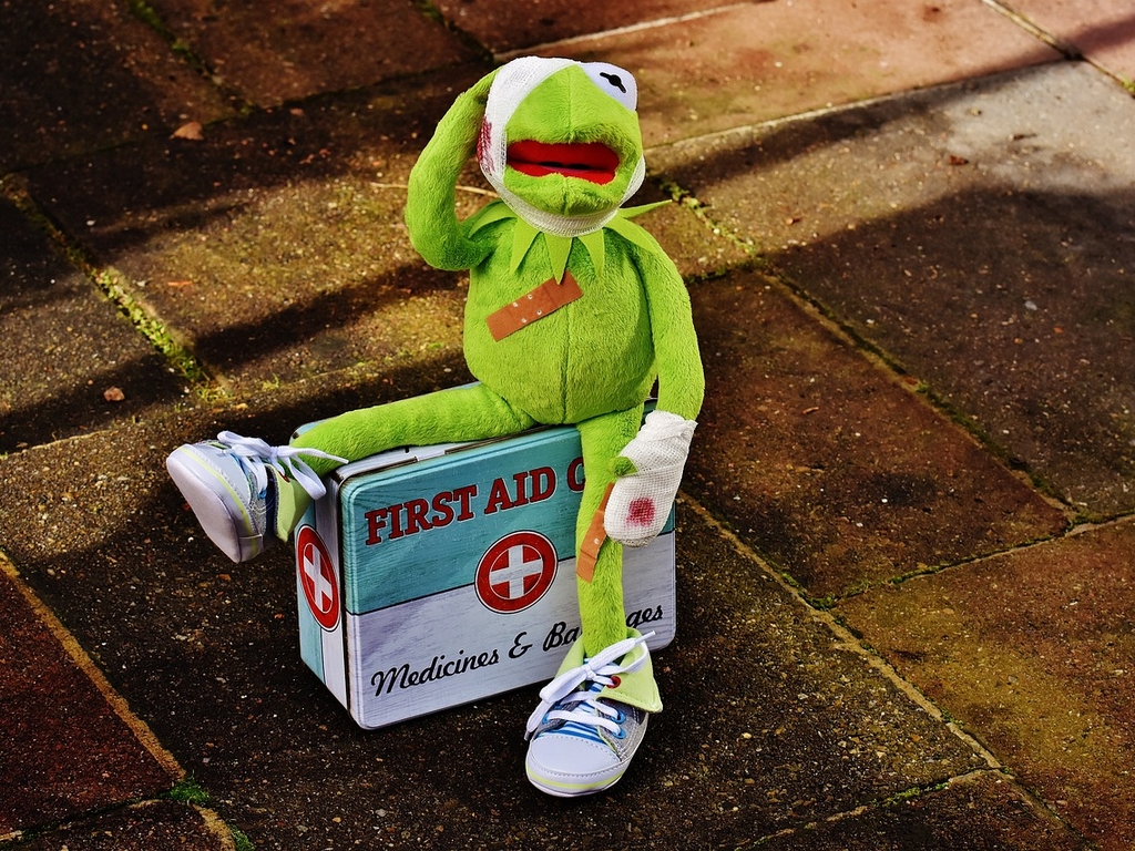 Mercredis nature : SOS animal sauvage en Détre ...