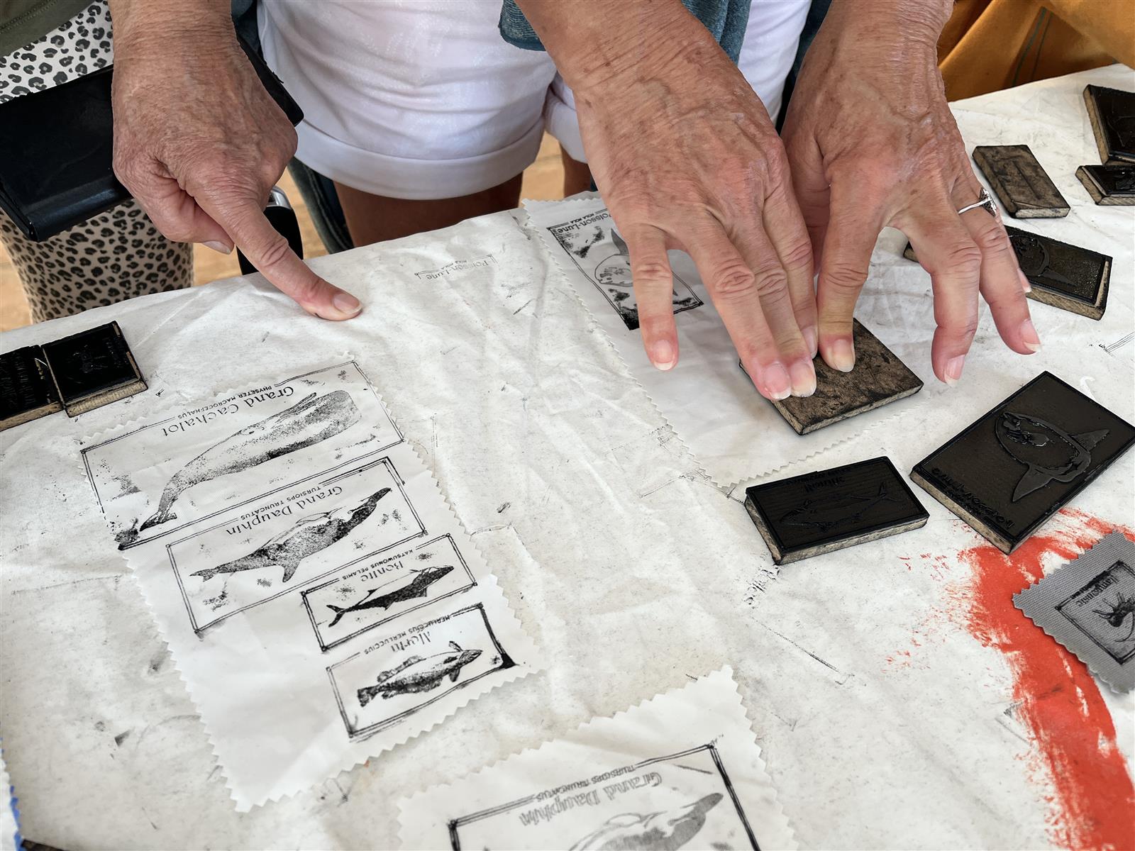 Hisse et Hot Matelot ! Animations Vacances d'Hiver