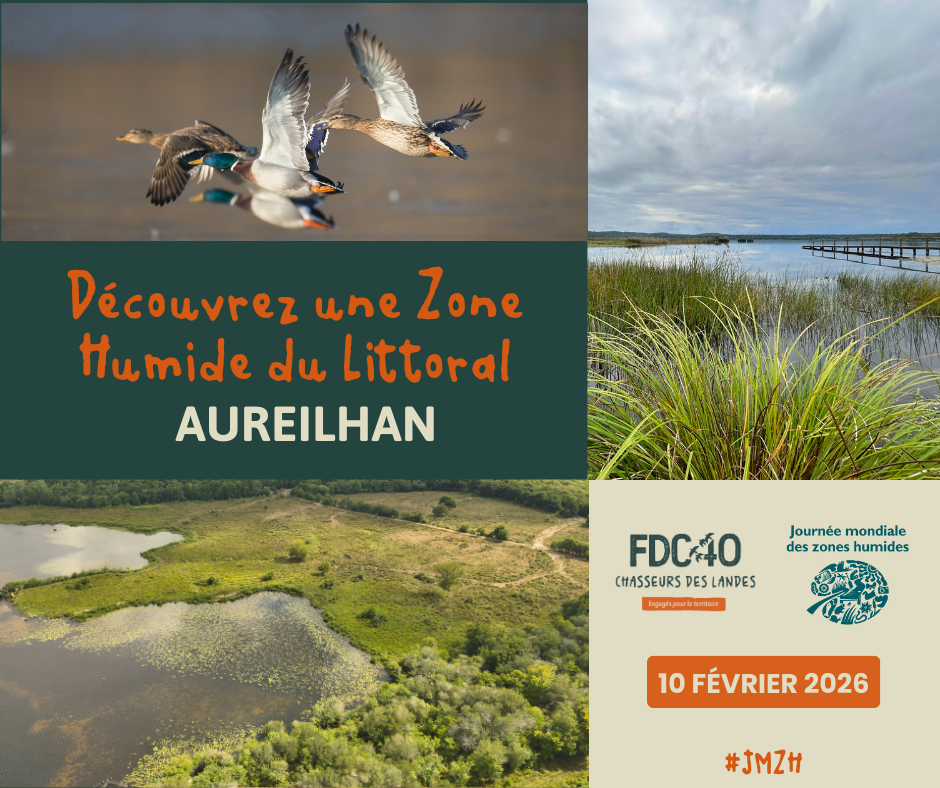 Sortie Nature : Journée Mondiale des Zones Humides