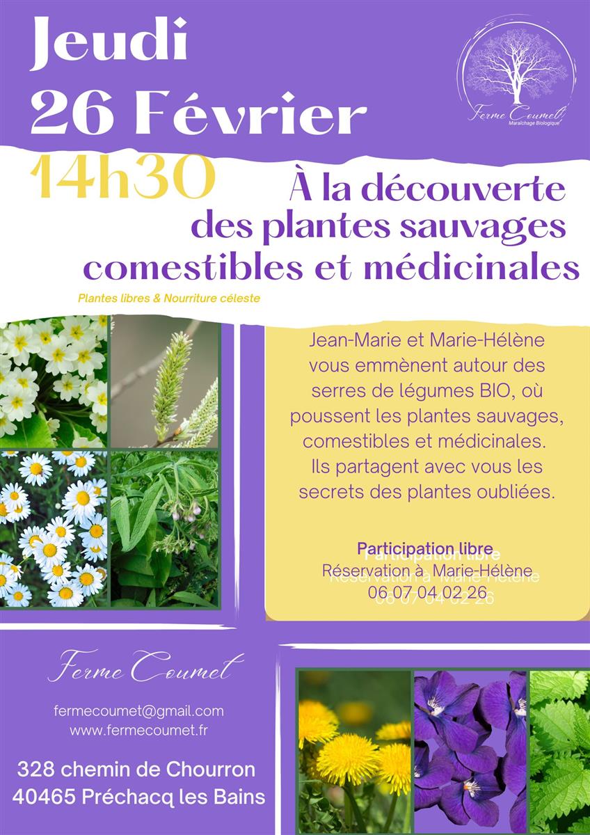 A la découverte des plantes sauvages, comestib ...