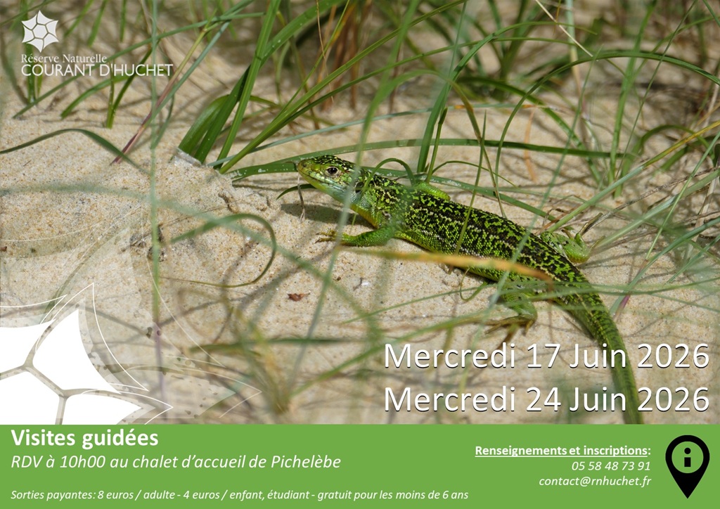 Partez à la découverte de la Réserve Naturelle ...