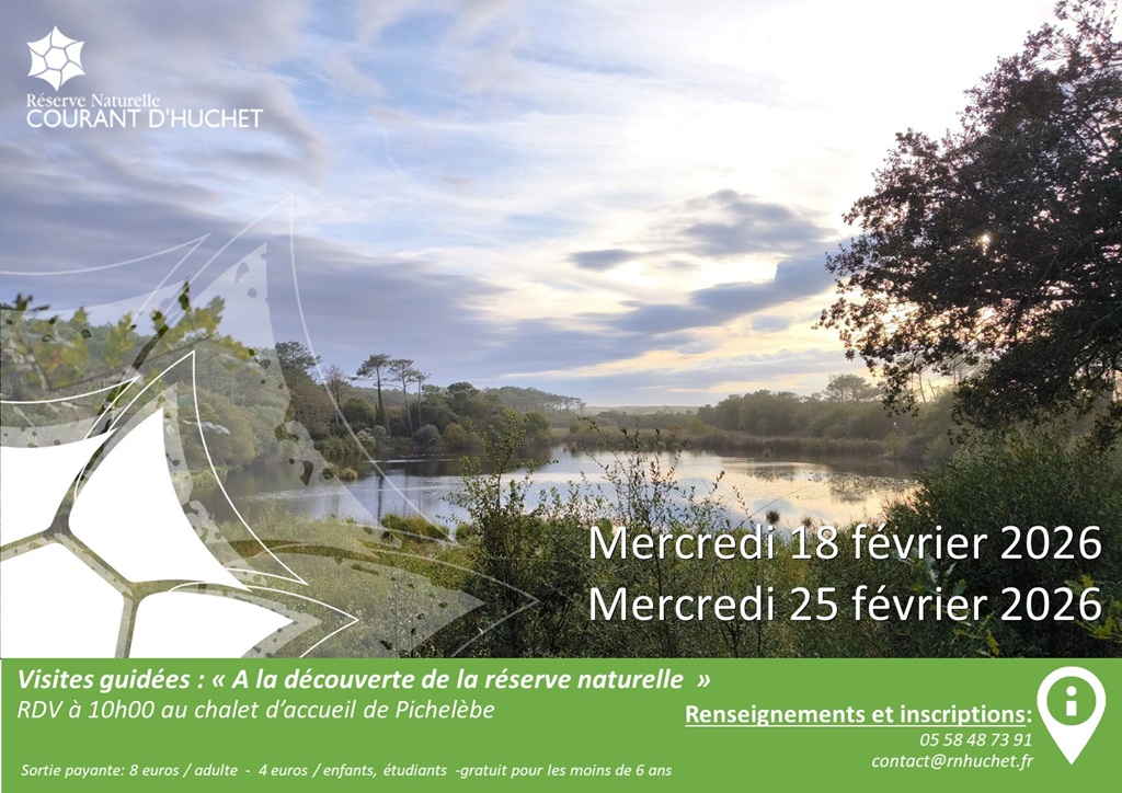 Partez à la découverte de la Réserve Naturelle ...