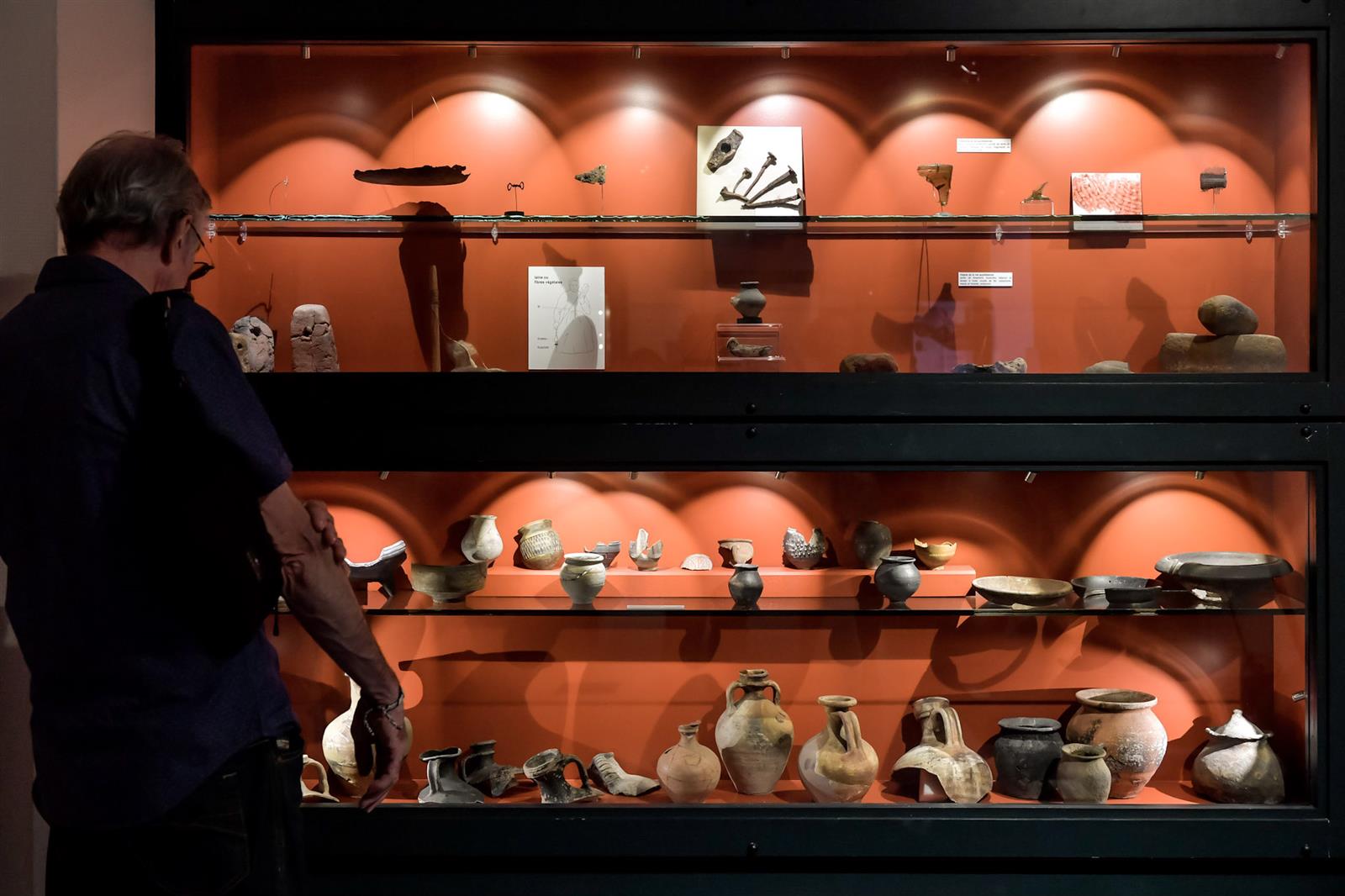 Visite guidée du jeudi - Musée du Lac