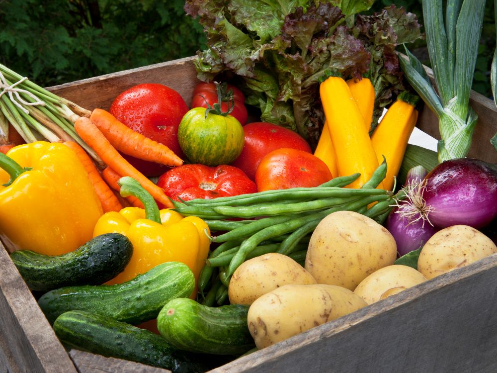 Marché traditionnel