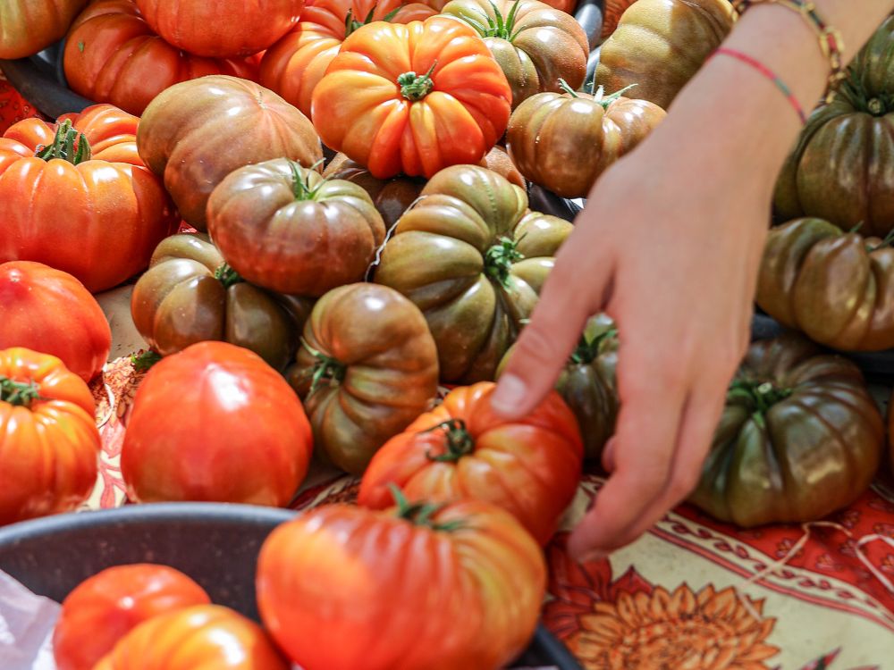 Marché traditionnel