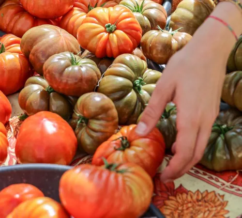 Marché traditionnel