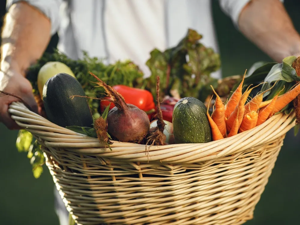Marché traditionnel - Crédit: @peopleinmotion | CC BY-NC-ND 4.0