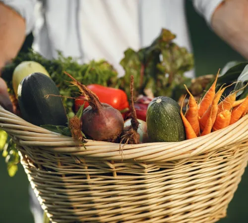 Marché traditionnel