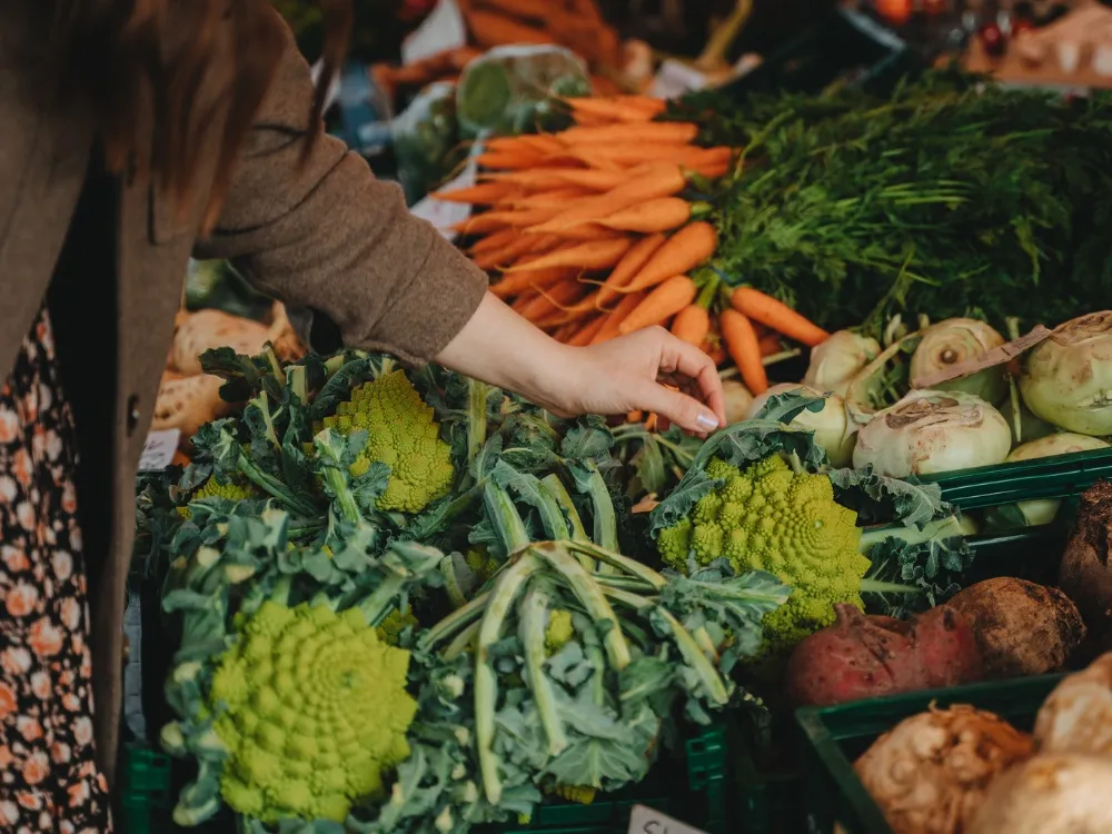 Marché traditionnel - Crédit: Alesia Kozik de Pexels | CC BY-NC-ND 4.0