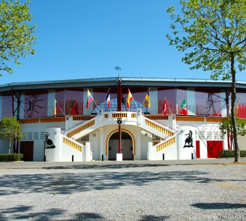 Visite des arènes de la "Mecque de la Course Landaise"