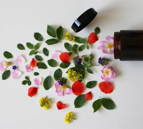 Atelier création de cosmétiques bio