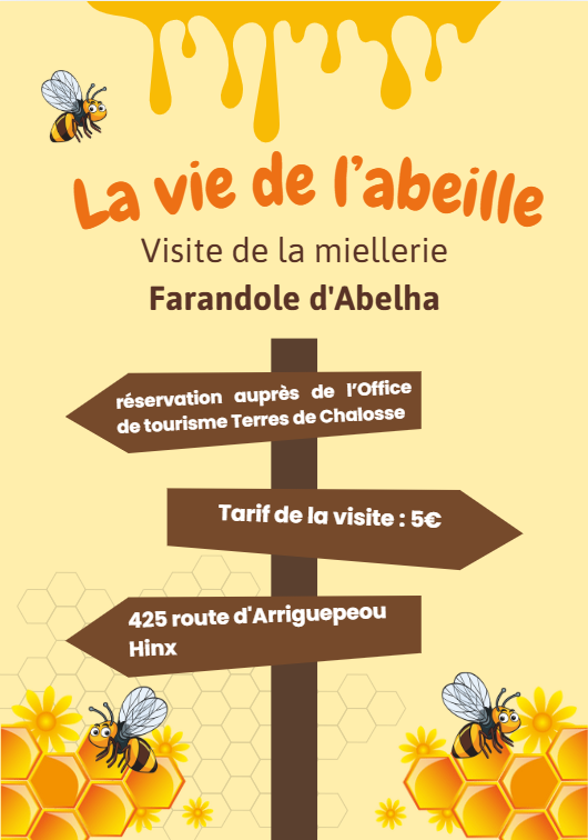 La vie de l'abeille - ... - Crédit: OTC | CC BY-NC-ND 4.0