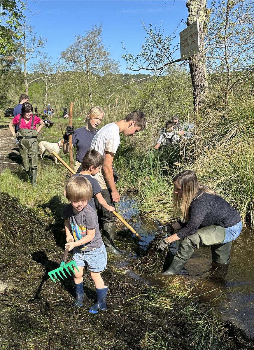 Journée Ecocitoyenne - Arrachage des plantes a ...