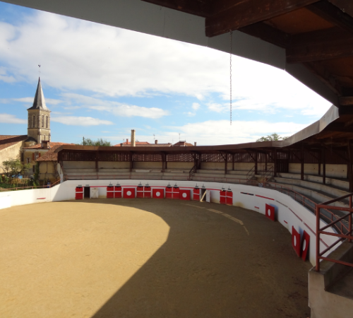 Visite des arènes de Vielle-Tursan