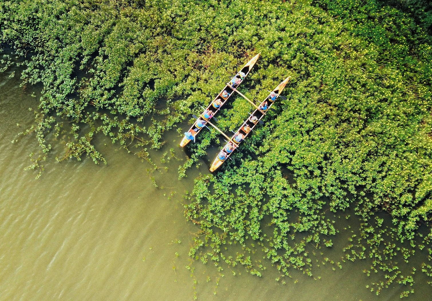 Balade nature en pirogue hawaïenne - Faune Lan ...